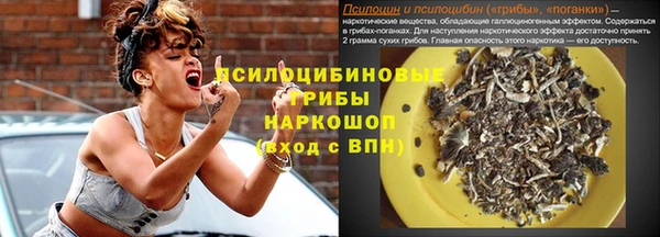 a pvp Аркадак