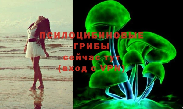 a pvp Аркадак
