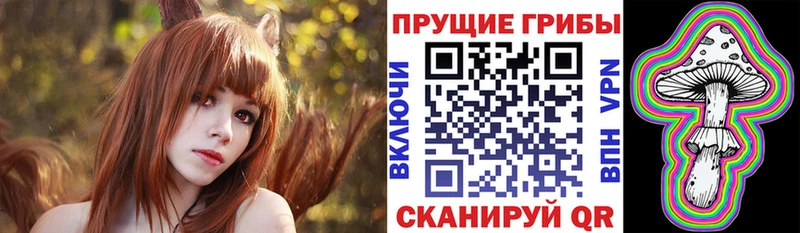 Галлюциногенные грибы Psilocybe  Купить где  Белорецк 
